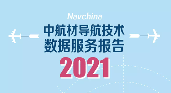 数据服务报告2021